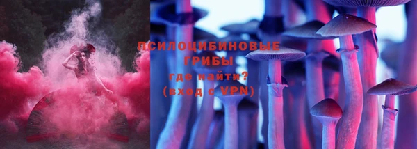 прущие крисы Алзамай