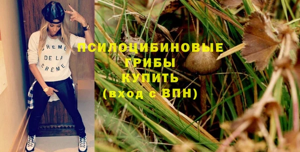 прущие грибы Алексин