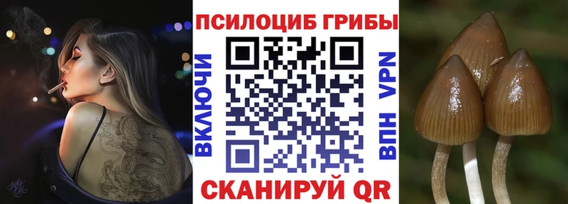 Галлюциногенные грибы Cubensis  Губкин 