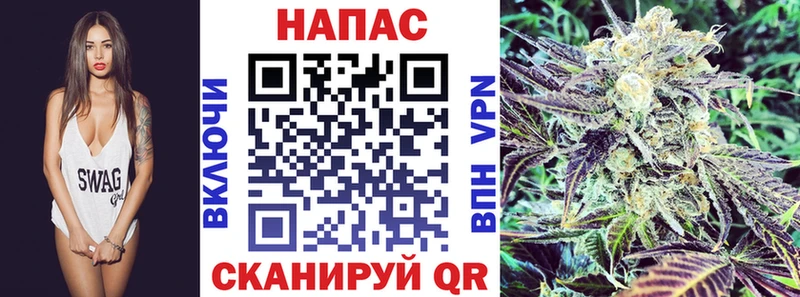 магазин продажи наркотиков  Губкин  Марихуана SATIVA & INDICA 